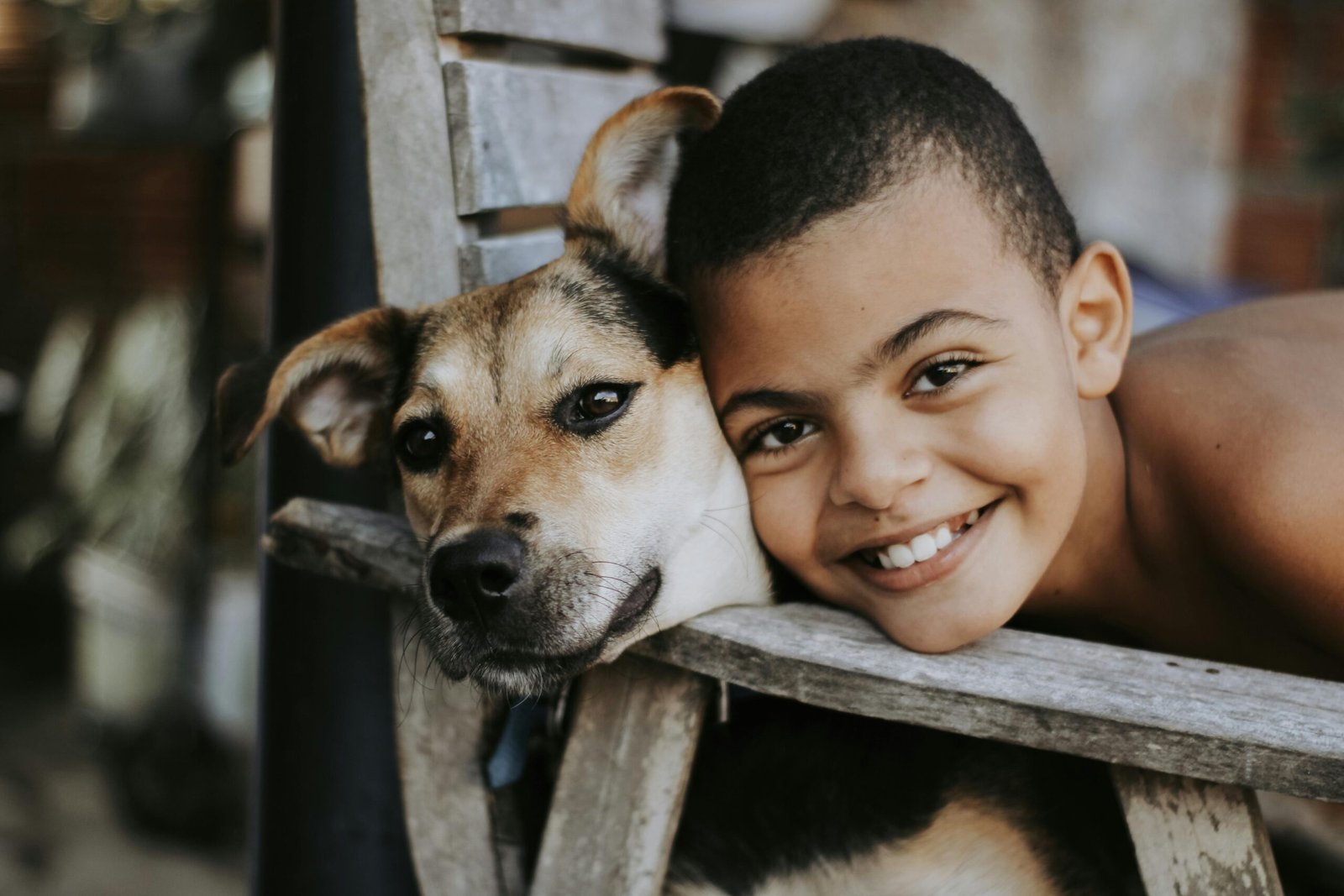 Brincadeiras com os Pets: Evite Acidentes com as Crianças