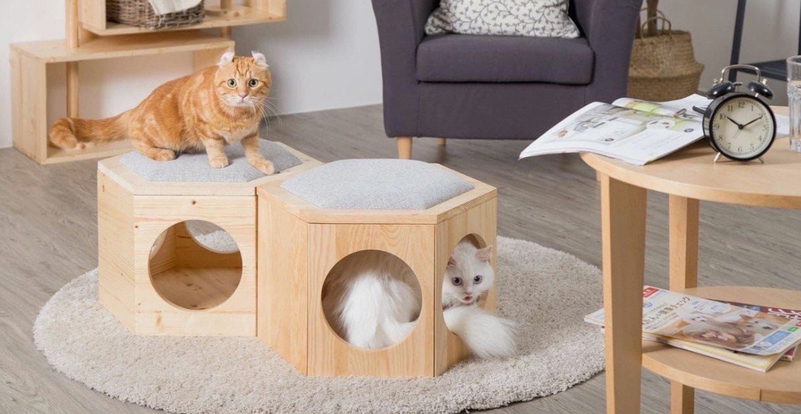 Como Construir Uma Casinha de Madeira Para Seu Gato