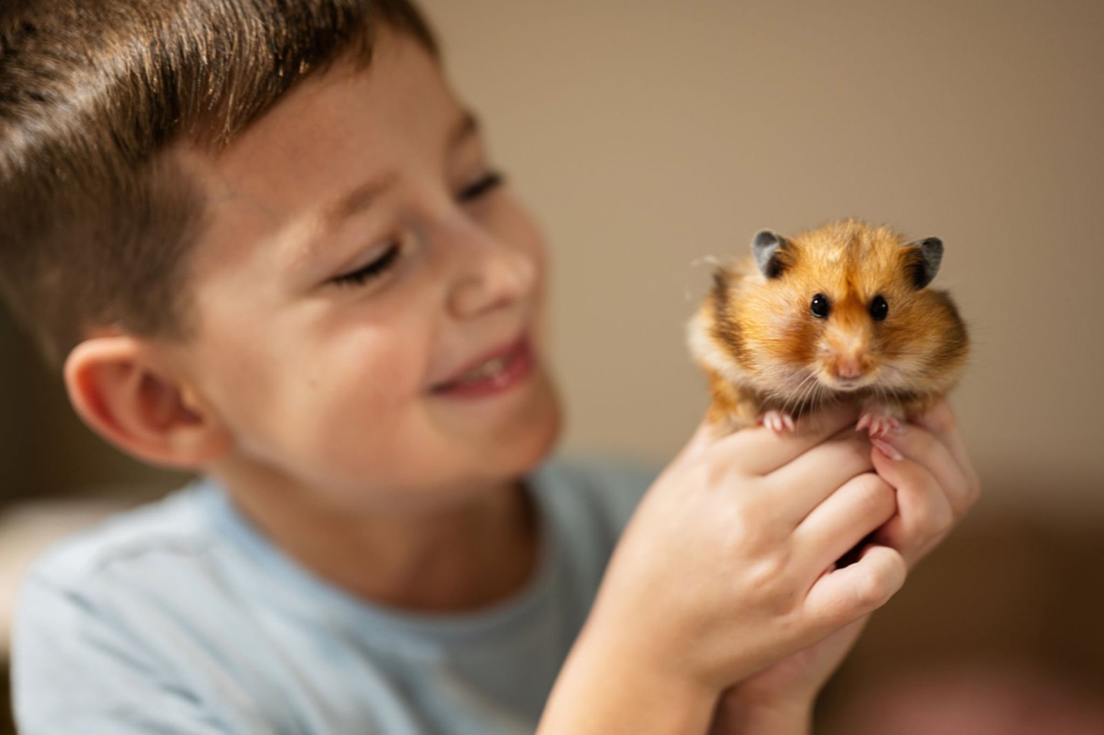 Hamster Muda Totalmente a Vida de Uma Criança